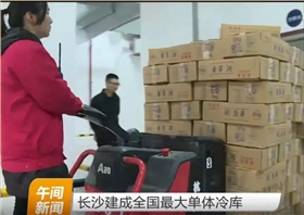 杭州叉車成為中國最大單體冷庫搬運主力軍！